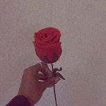 Sent